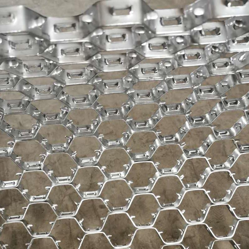 外分龜甲網 外分龜甲網